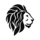 Raidu